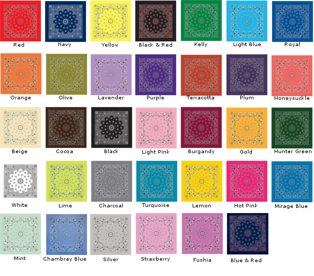 ハバハンク バンダナ ペイズリー B22PAI